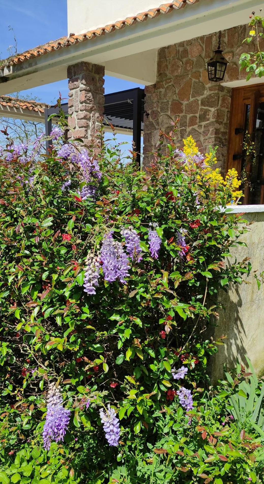 13 Bees Bed and Breakfast Confolens Exteriör bild