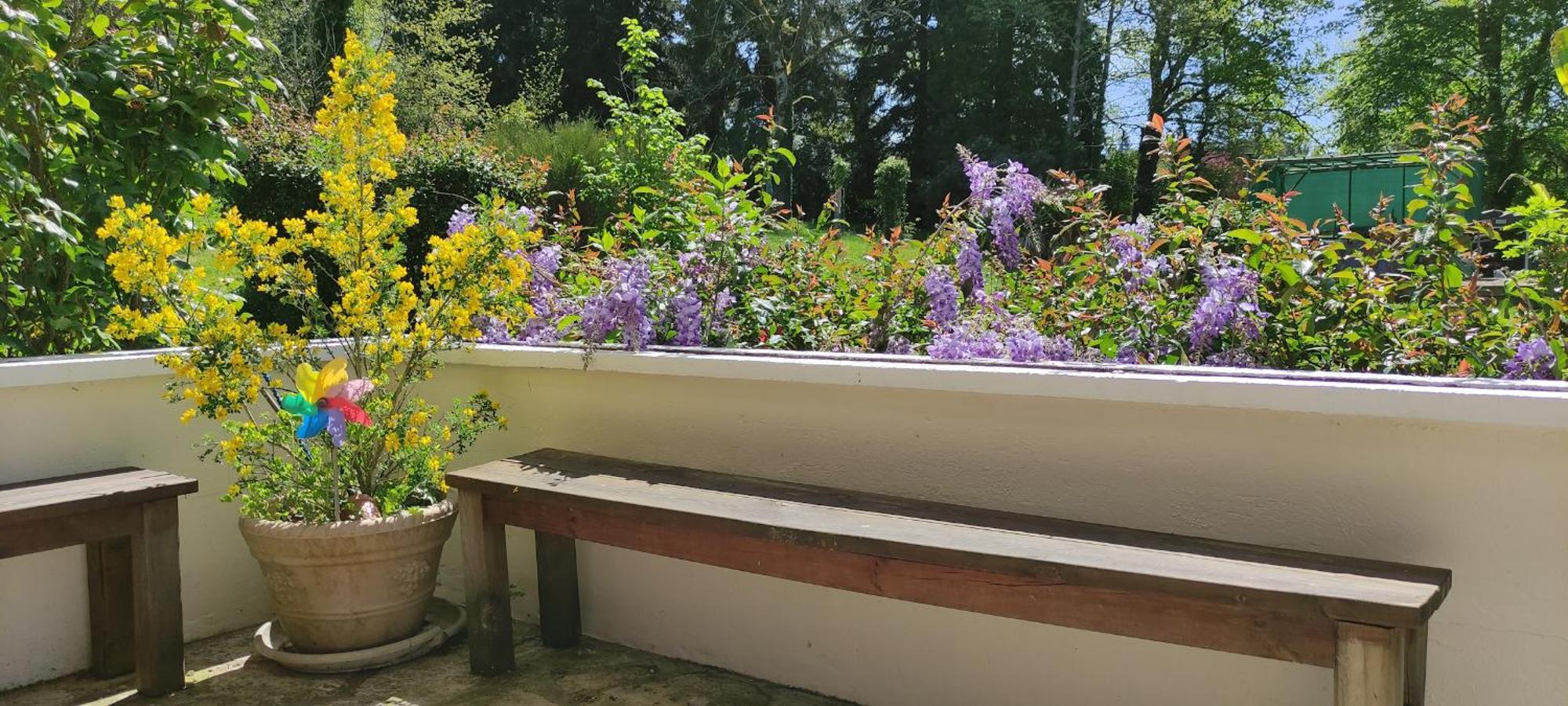 13 Bees Bed and Breakfast Confolens Exteriör bild