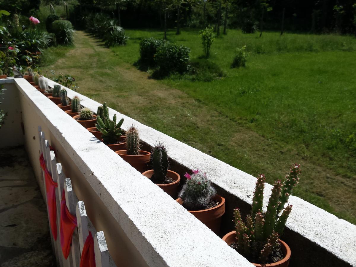 13 Bees Bed and Breakfast Confolens Exteriör bild